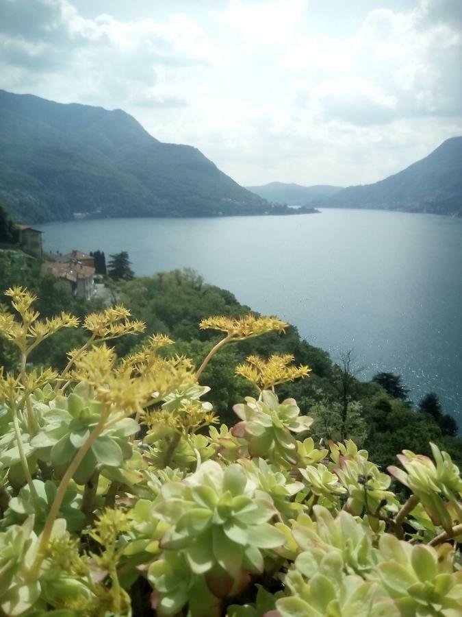 Вилла Casa Del Borgo Pognana Lario Экстерьер фото
